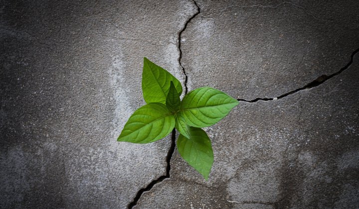 Resilience in a Time of Uncertainty